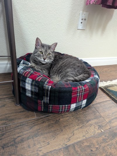 Warm Hearts Pet Hospital